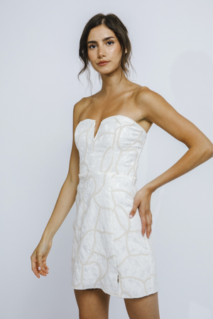 Taylor Sequined Mini Dress