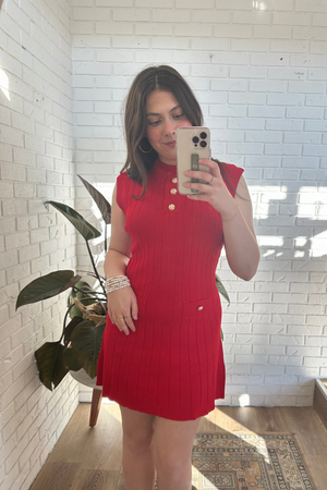 Carly Knit Mini Dress