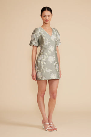 Lisana Mini Dress