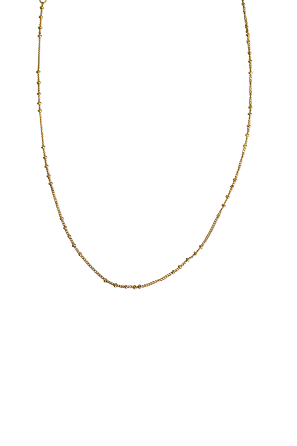 18K Apsen Dainty Necklace