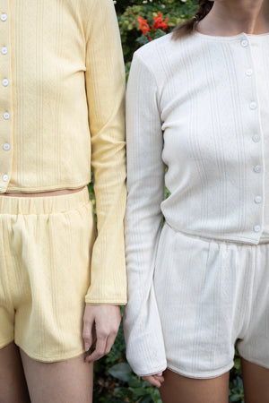 Basic Pointelle Cardigan - Cream