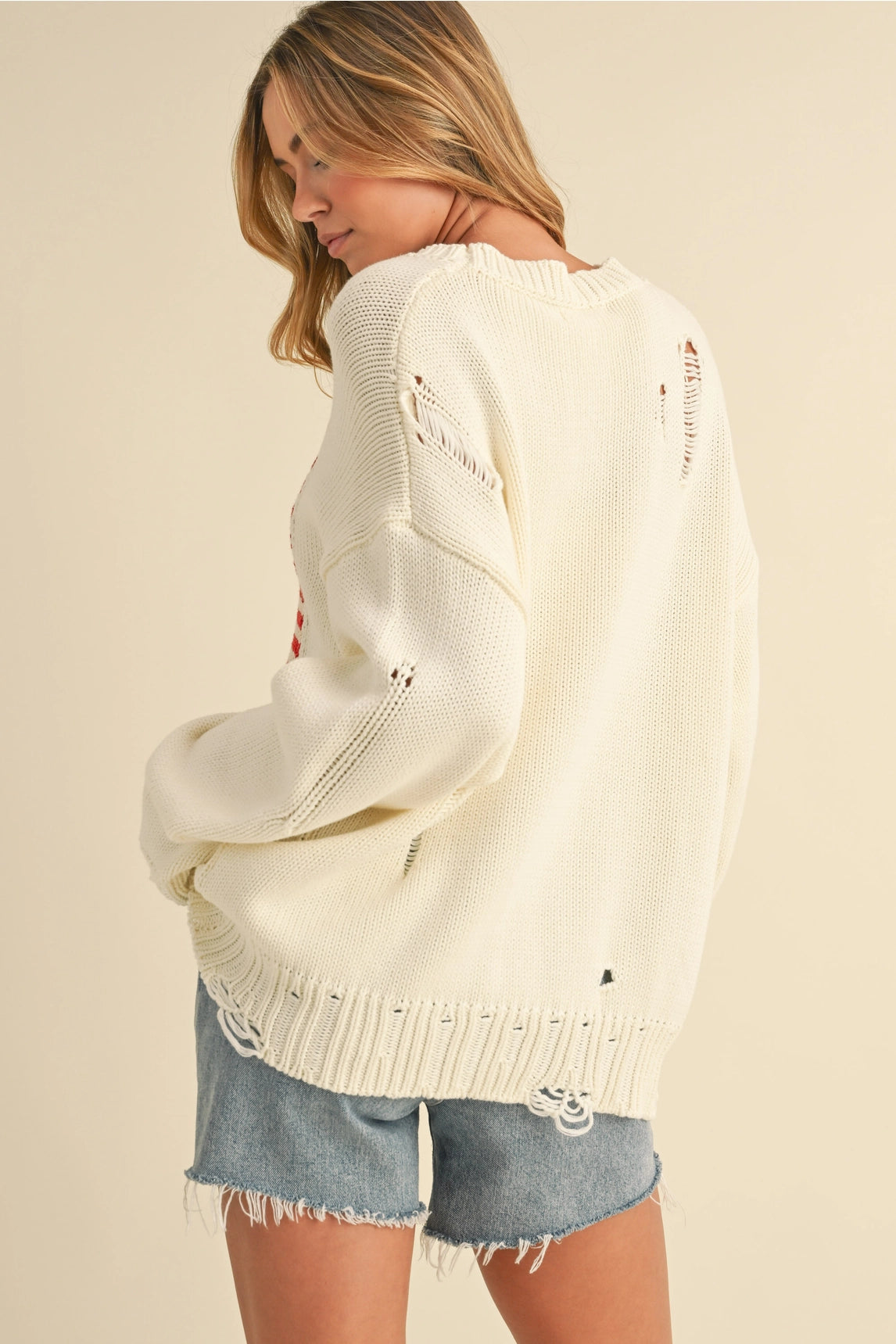 Flag Knit Sweater Top